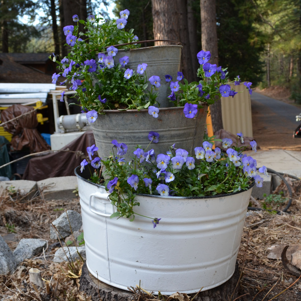 3 galvanized tubs and buckets in graduating sizes stacked and planted to create a vertical planter. Vertical garden planter