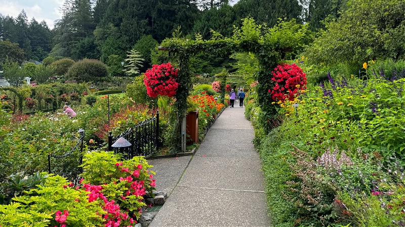 cottage garden path lined with flowers leading to a garden arbor covered with roses