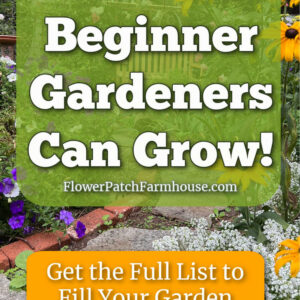 cottage garden blooming in summer with text overlay that reads: flower beginner gardeners can grow, flowrer patch farmhouse dot com, get the full list to fill your garden with easy!