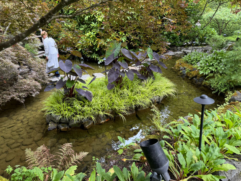 focal point pond in Japanese Garden of Butchart Gardens