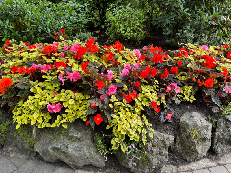 small area made to look expansive with planting Butchart Gardens