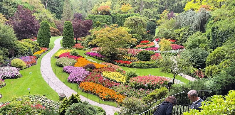 the sunken garden at Butchart gardens, lessons learned