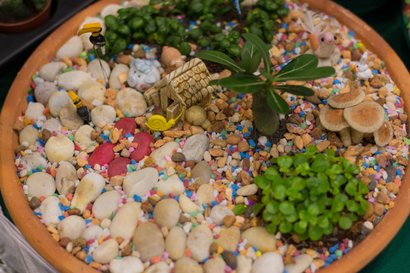 miniature dish garden with a small stone house, gravel and low growing plants
