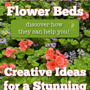 peach geraniums with lavender flowers in a garden bed, text overlay reads: theme based flower beds, green rectangle graphic over photo with text overlay that reads: discover how they can help you! More text overlay below reads: creative ideas for a stunning garden, flower patch farmhouse dot com