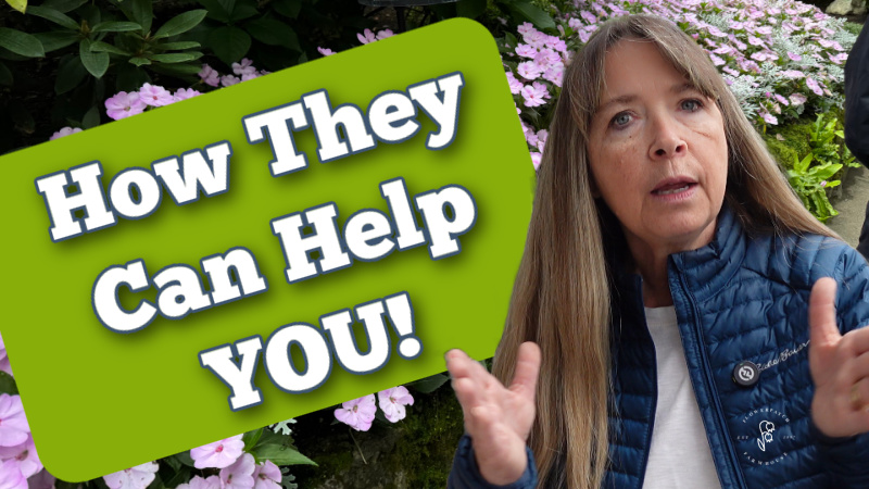 pamela groppe of flower patch farmhouse dot com in front of a pastel flower bed and a green rectangle with text overlay that reads: how they can help you!