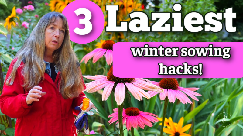 pam groppe in a red coat standing in front of flowers in a garden with text overlay: 3 laziest winter sowing hacks! flower patch farmhouse dot com