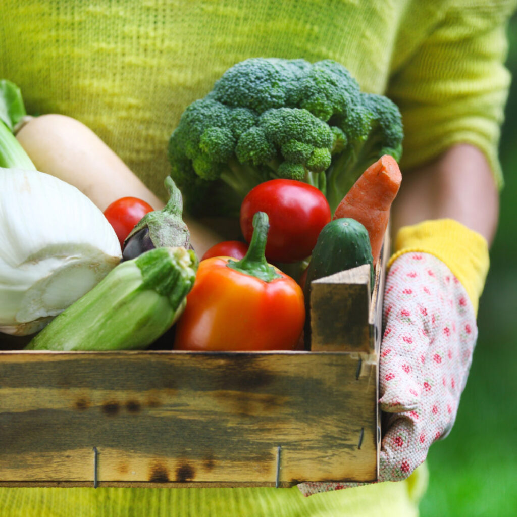 woman wearing gloves with a box of fresh vegetables in her hands