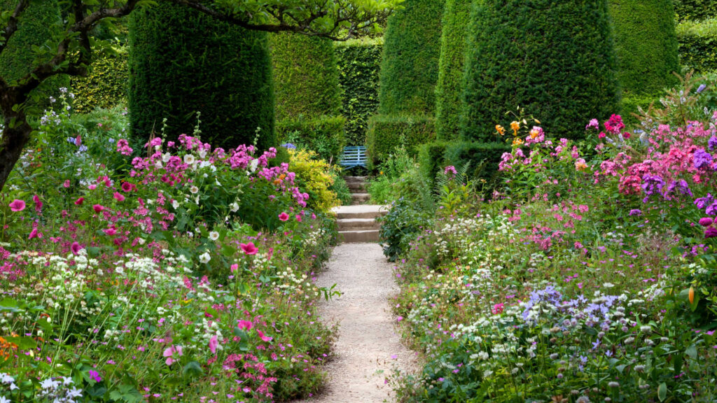 example of an arts and crafts garden style, exuberant cottage garden coupled with formal hedging and gravel path
