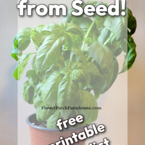 basil plant with white background, text overlay reads: grow basil from seed! free printable checklist, flower patch farmhouse dot com
