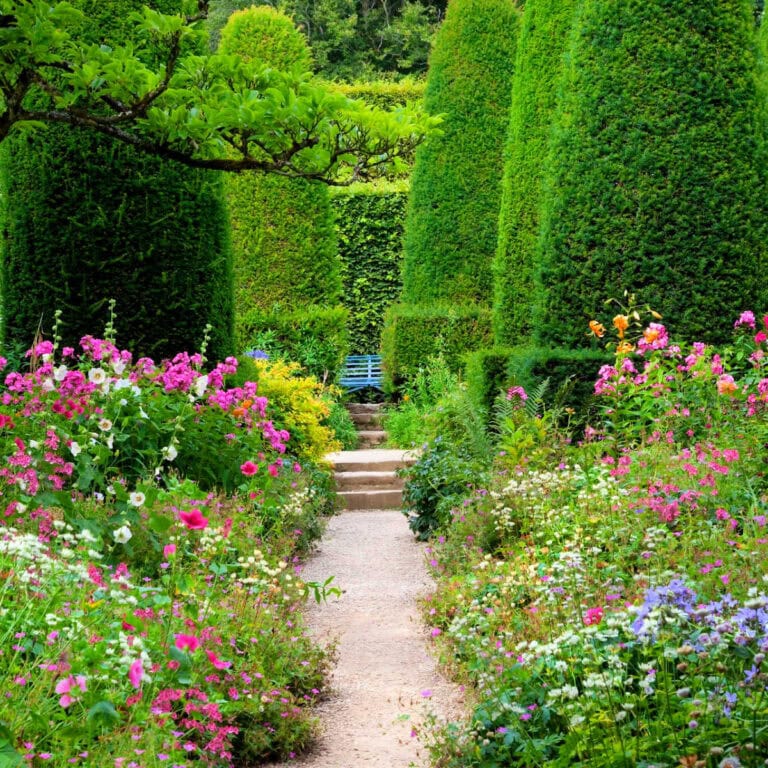 A lush garden path lined with vibrant blooming perennials in shades of pink, white, purple, and orange, leading toward a blue bench nestled among tall, sculpted evergreen topiaries. Flower Patch Farmhouse dot com