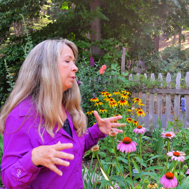 woman in purple shirt in a garden of perennials that reseeded themselves