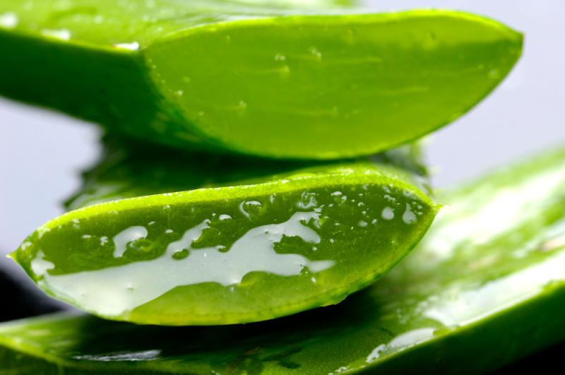 side view of aloe vera slice and gel