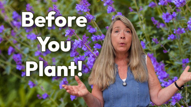pamela groppe overlaid a photo of nepeta. Text overlay reads: Before you Plant. Flower Patch Farmhouse dot com