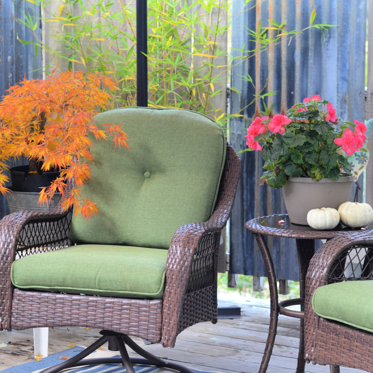 patio chair with green cushions surrounded by plants in fall colors, japanese maple, bamboo and begonia. Two white pumpkins on small table
